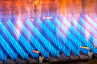 Bramdean gas fired boilers